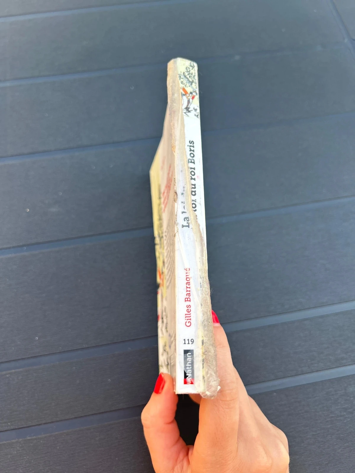 Boek de wet van koning Boris Gilles gebarst Nathan – photo 2